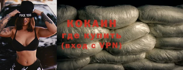шишки Пересвет