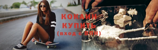 шишки Пересвет