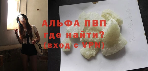 шишки Пересвет