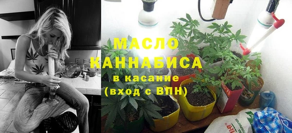 шишки Пересвет
