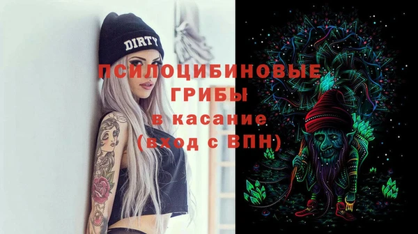 шишки Пересвет