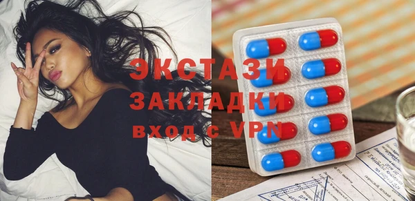 шишки Пересвет
