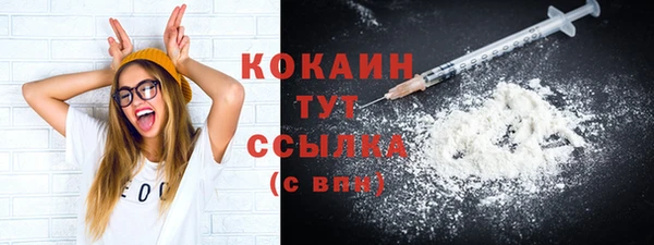 шишки Пересвет