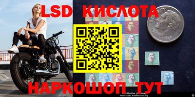 индика Гай