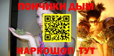 индика Гай