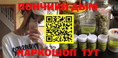 индика Гай